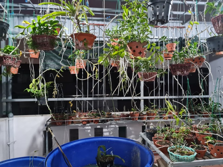 Hoa hậu Ngô Gia Tự Long Biên diện tích 58m2 4 tầng, mt 5.2 nhỉnh 4 tỷ ở ngay