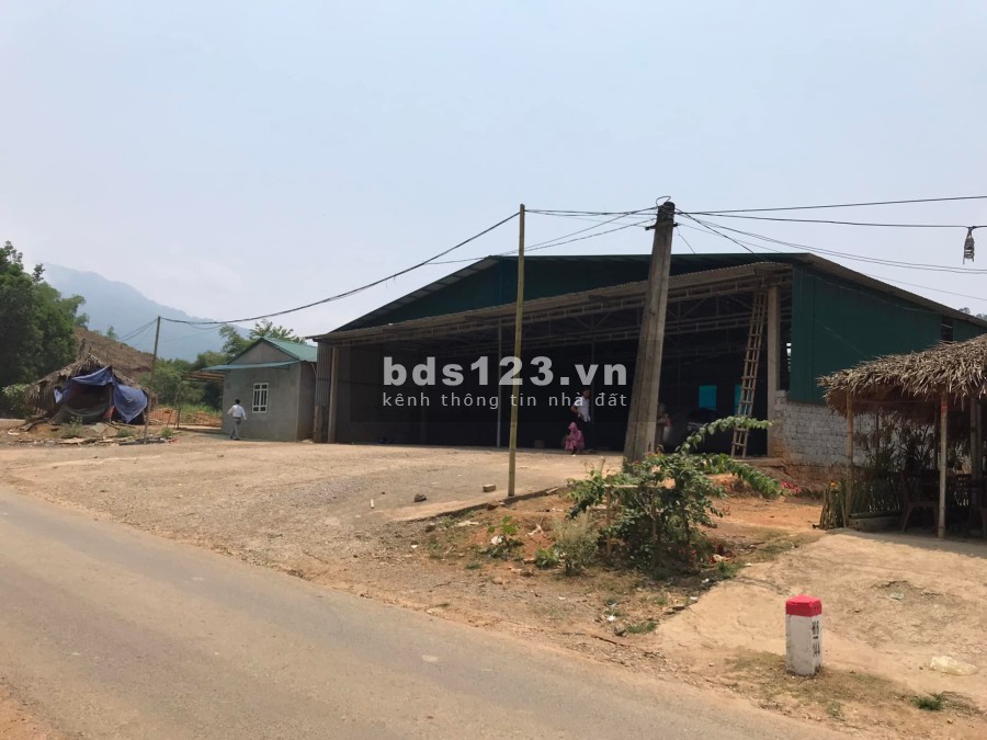 Đất Nền Quốc Lộ Thanh Hóa giá rẻ cho nhà đầu tư, sổ sẵn chính chủ, giá tốt