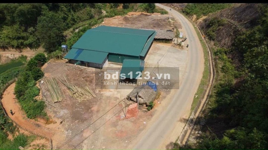 Đất Nền Quốc Lộ Thanh Hóa giá rẻ cho nhà đầu tư, sổ sẵn chính chủ, giá tốt