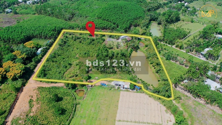 Cần bán nhanh nhà vườn ở Hòa Ninh, Hòa Vang, Đà Nẵng diện tích hơn 14.000m2.