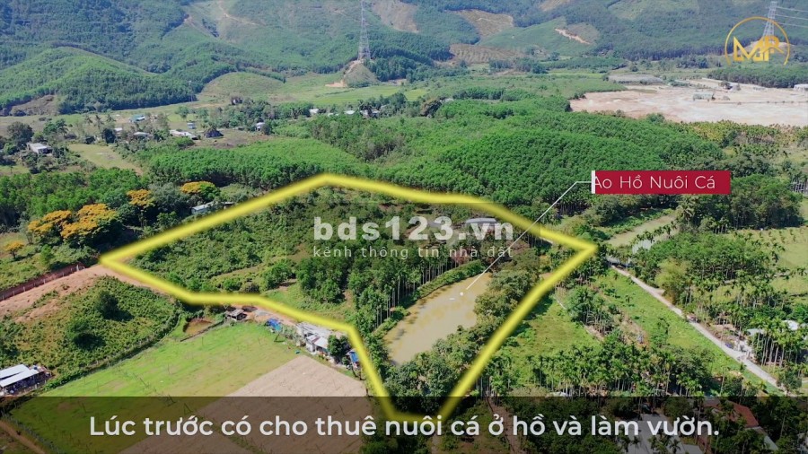 Cần bán nhanh nhà vườn ở Hòa Ninh, Hòa Vang, Đà Nẵng diện tích hơn 14.000m2.