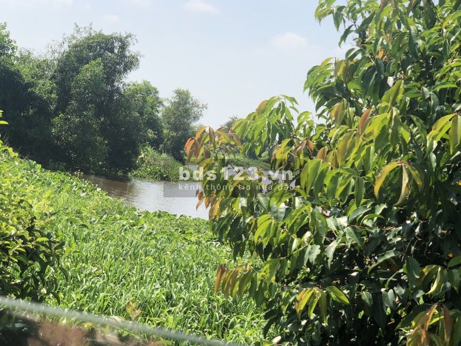 Bán Đất 3 Sào Ruộng. Chủ cần bán gấp đã có sẵn sổ, pháp lý chính chủ, liên hệ 0908252214