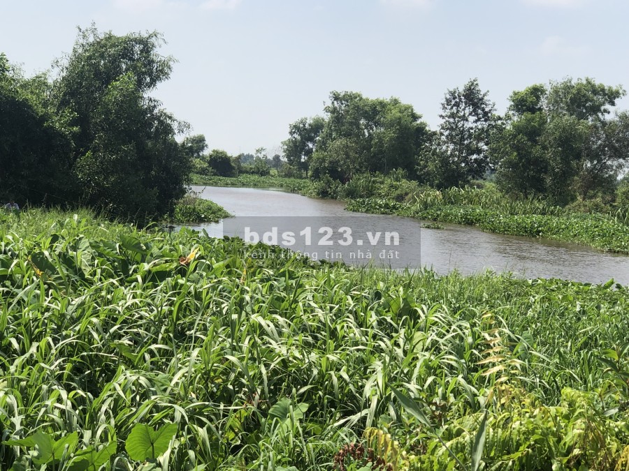 Bán Đất 3 Sào Ruộng. Chủ cần bán gấp đã có sẵn sổ, pháp lý chính chủ, liên hệ 0908252214