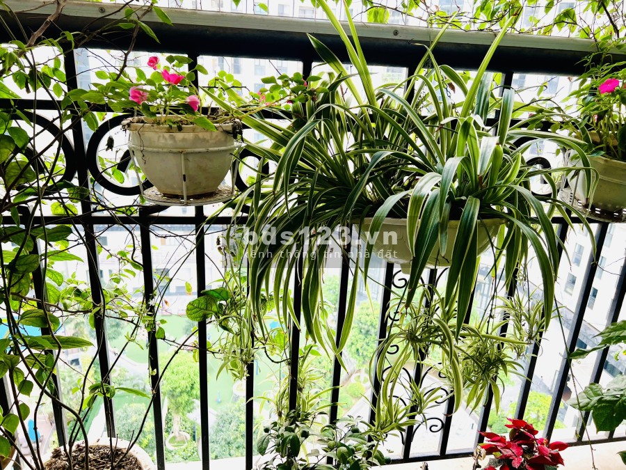 Cần bán căn hộ 2 phòng ngủ tại CT8, chung cư The Emerala Mỹ Đình, liên hệ 0983417868