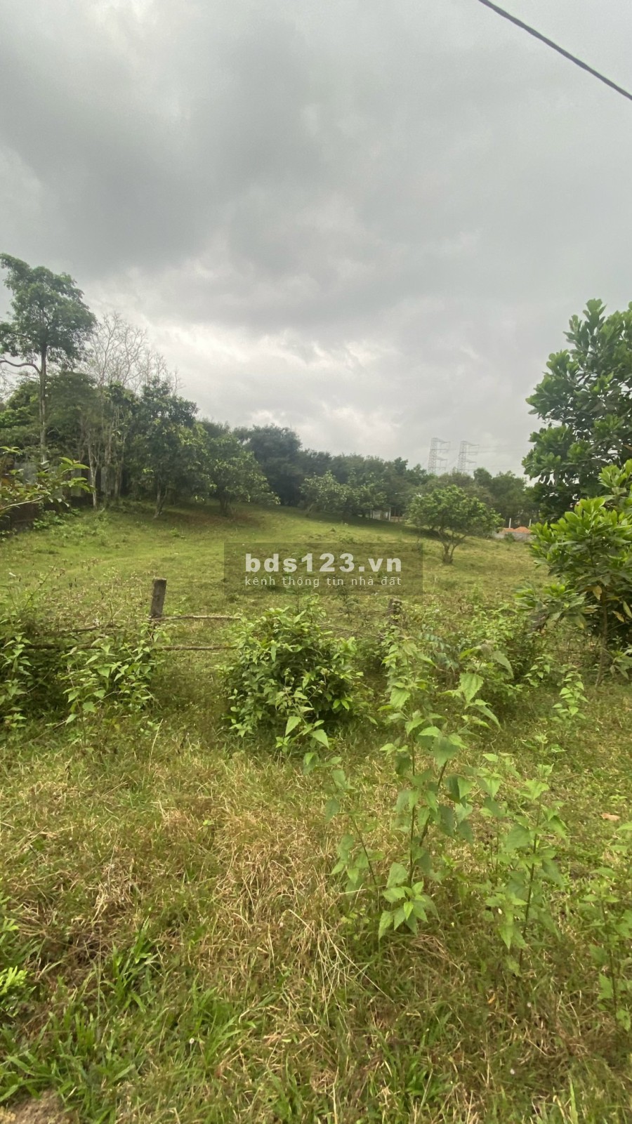 Cần bán nhanh diện tích 4700m2 Trong vườn có sẵn nguyên 1 vườn cây ăn trái lâu năm
