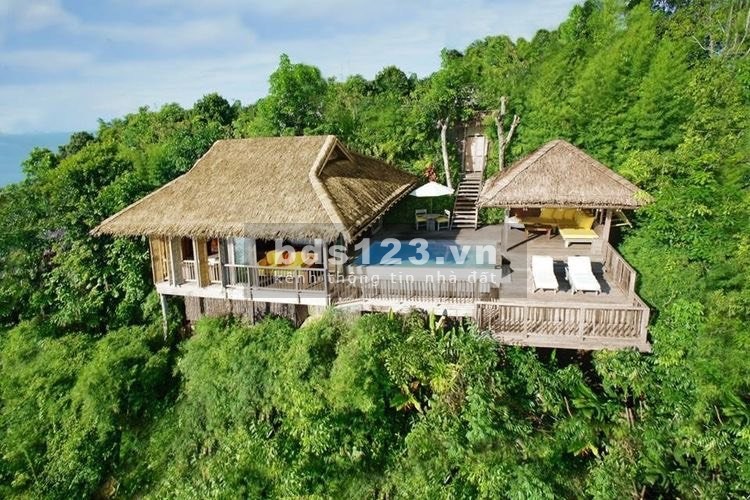 Cần bán trang trại rộng Tại Xã Hòa Ninh Diện tích : 38.300m2 view khu du lịch Bà nà hills