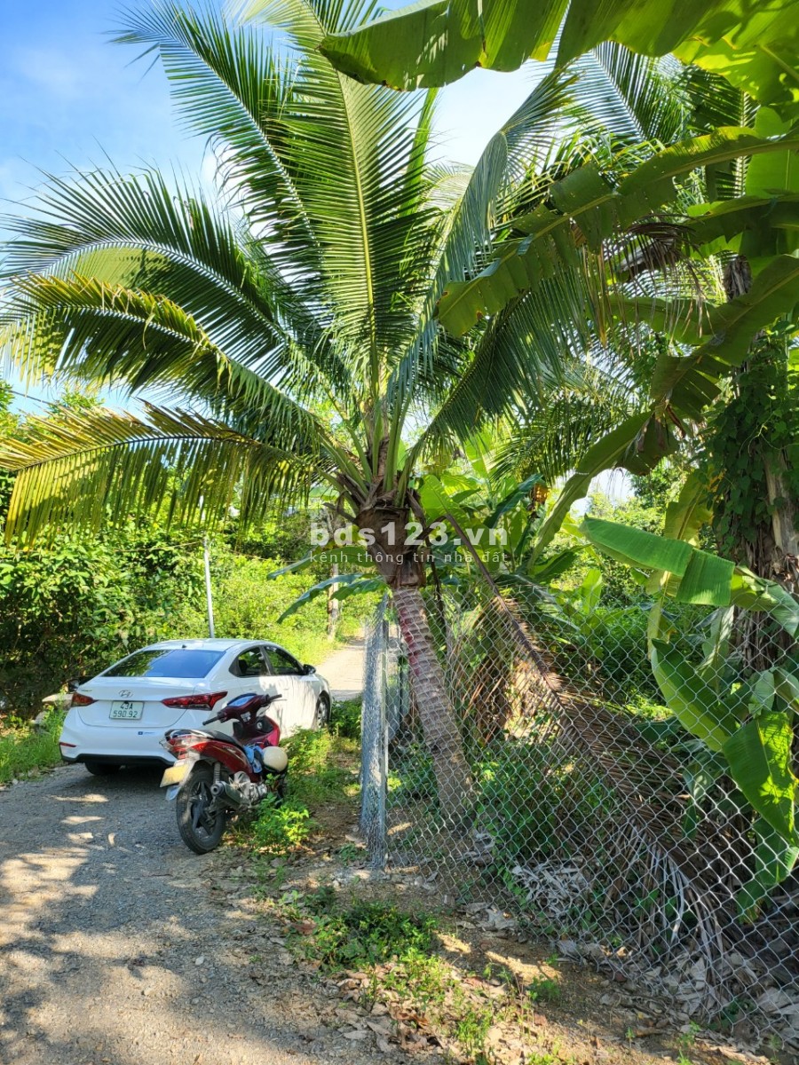 Cần bán 2 ha 5 Hạ tầng đầy đủ, nhà cửa kiên cố điện 3 pha tựa sơn hướng thuỷ view cánh đồng