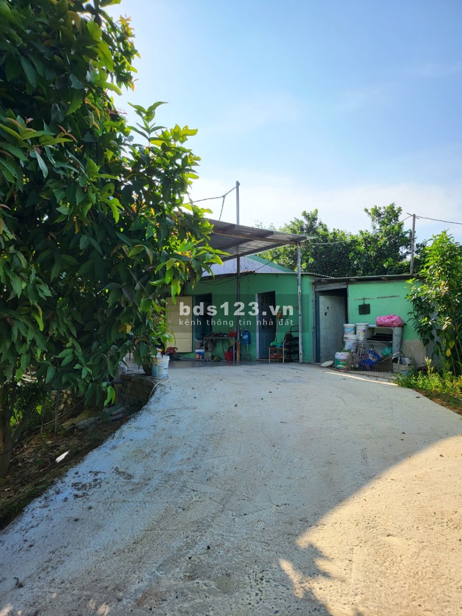 Cần bán 2 ha 5 Hạ tầng đầy đủ, nhà cửa kiên cố điện 3 pha tựa sơn hướng thuỷ view cánh đồng