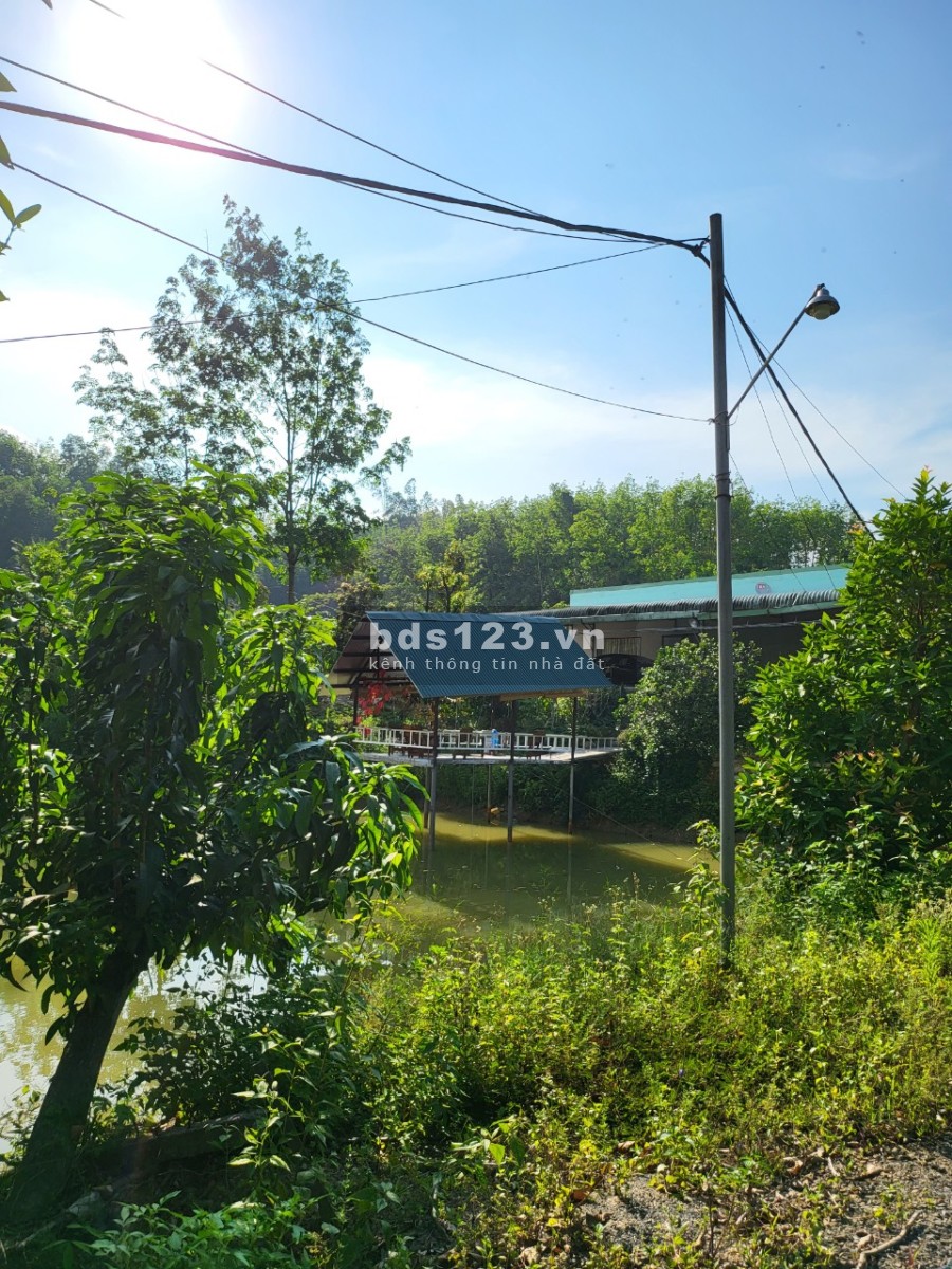 Cần bán 2 ha 5 Hạ tầng đầy đủ, nhà cửa kiên cố điện 3 pha tựa sơn hướng thuỷ view cánh đồng