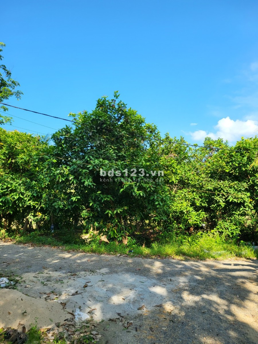 Cần bán 2 ha 5 Hạ tầng đầy đủ, nhà cửa kiên cố điện 3 pha tựa sơn hướng thuỷ view cánh đồng