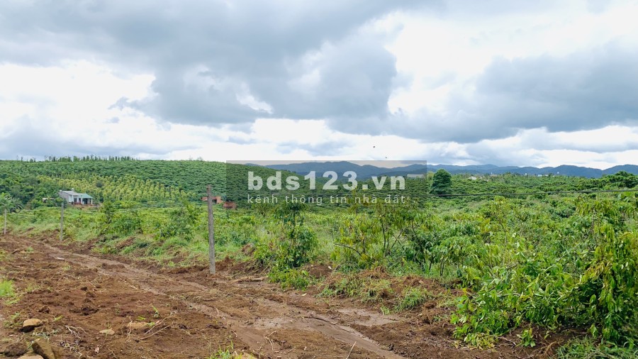 Cần bán lô đất thổ cư gần sân gofl Nova 300h, sổ hồng sẵn, công chứng ngay giá đầu tư