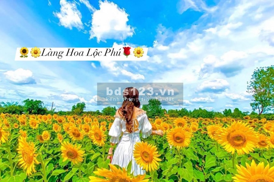 Cần bán lô đất thổ cư gần sân gofl Nova 300h, sổ hồng sẵn, công chứng ngay giá đầu tư