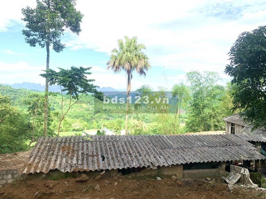 Siêu phẩm nghỉ dưỡng diện tích 2627m2 Phú Cường Tân Lạc, Hoà Bình, thế đất cao