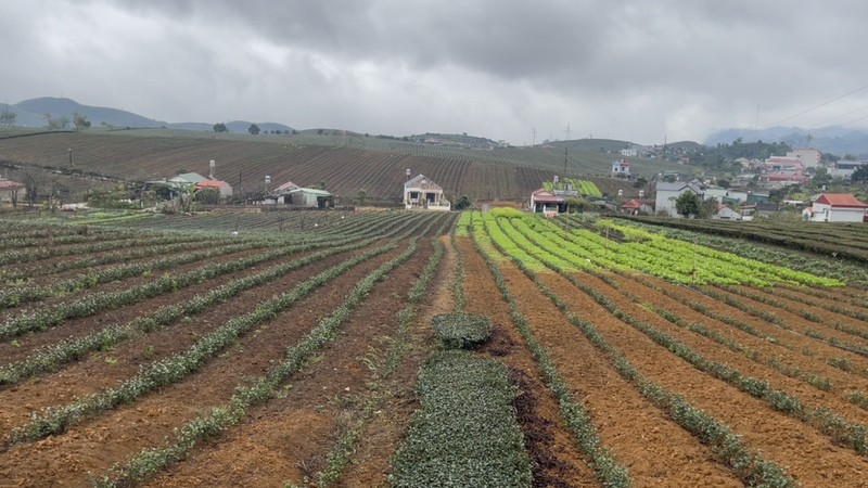 Gia đình chuyển Về Hà Nộ cần bán gấp Ngôi nhà mái thái mới tinh TK 68 Thi trấn Nông Trường Mộc châu