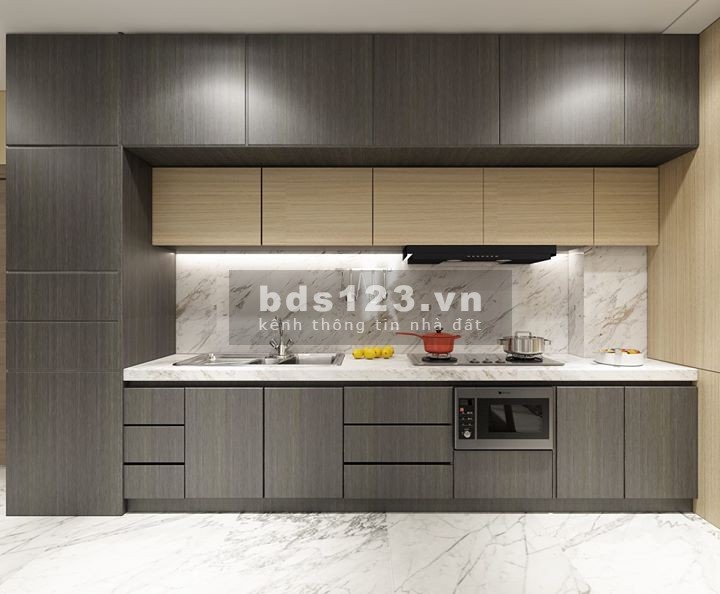 Bán căn hộ penhouse diện tích sử dụng 293m2 full nội thất TT Đà Nẵng, chỉ chưa tới 9 tỷ