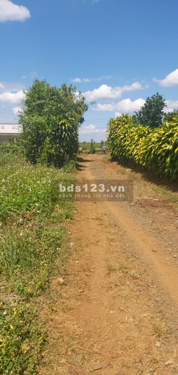 Bán ngộp lô đất thôn Tứ Quý xã Lộc An huyện Bảo Lâm Lâm Đồng thương lượng khách thiện chí
