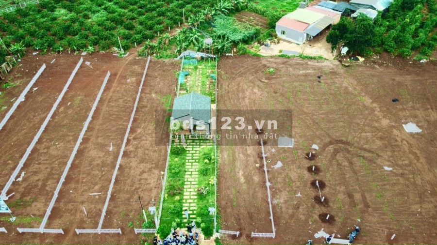 Bất động sản Gia Lai: khu nghỉ dưỡng đất nền sổ đỏ từng nền tại Mang Yang
