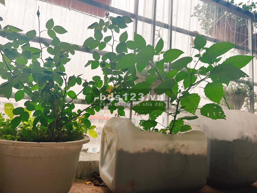 Bán nhà nguyên căn Quận Hà Đông, dtsd 35m2 4 tầng đúc kiên cố 1 tum lô góc CHỈ 2.58 tỷ