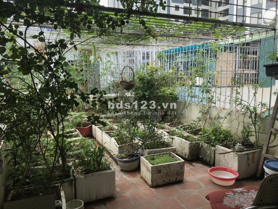 Bán gấp nhà Minh Khai, hàng xóm Time City, diện tích 36m giá bán 4,15 tỷ