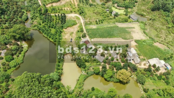 Chủ cần tiền bán nhanh siêu phẩm nghĩ dưỡng dt 7600m2 tại Kim Bôi Hoà Bình, giá tốt
