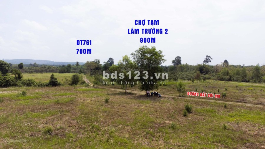 Cần bán gấp 1000m2 (1 sào) view Suối tại Xã Thanh Sơn - Định Quán - Đồng Nai Giá Rẻ
