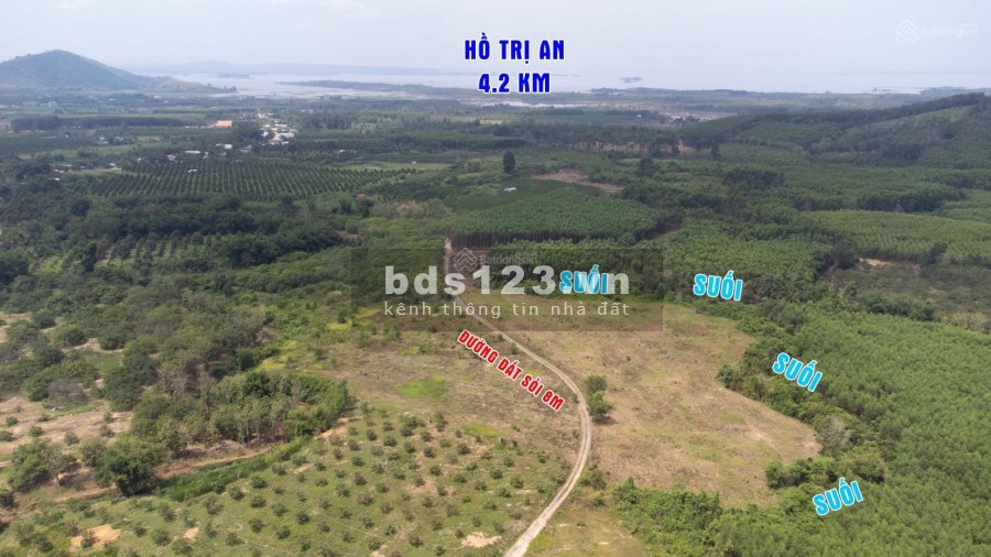 Cần bán gấp 1000m2 (1 sào) view Suối tại Xã Thanh Sơn - Định Quán - Đồng Nai Giá Rẻ
