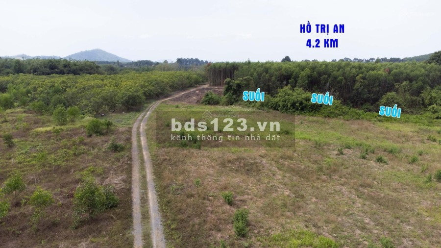 Cần bán gấp 1000m2 (1 sào) view Suối tại Xã Thanh Sơn - Định Quán - Đồng Nai Giá Rẻ
