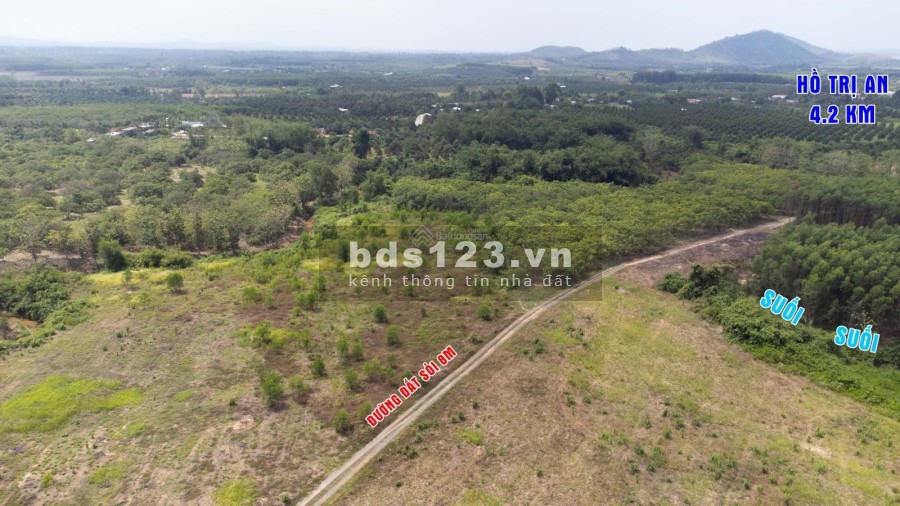 Cần bán gấp 1000m2 (1 sào) view Suối tại Xã Thanh Sơn - Định Quán - Đồng Nai Giá Rẻ