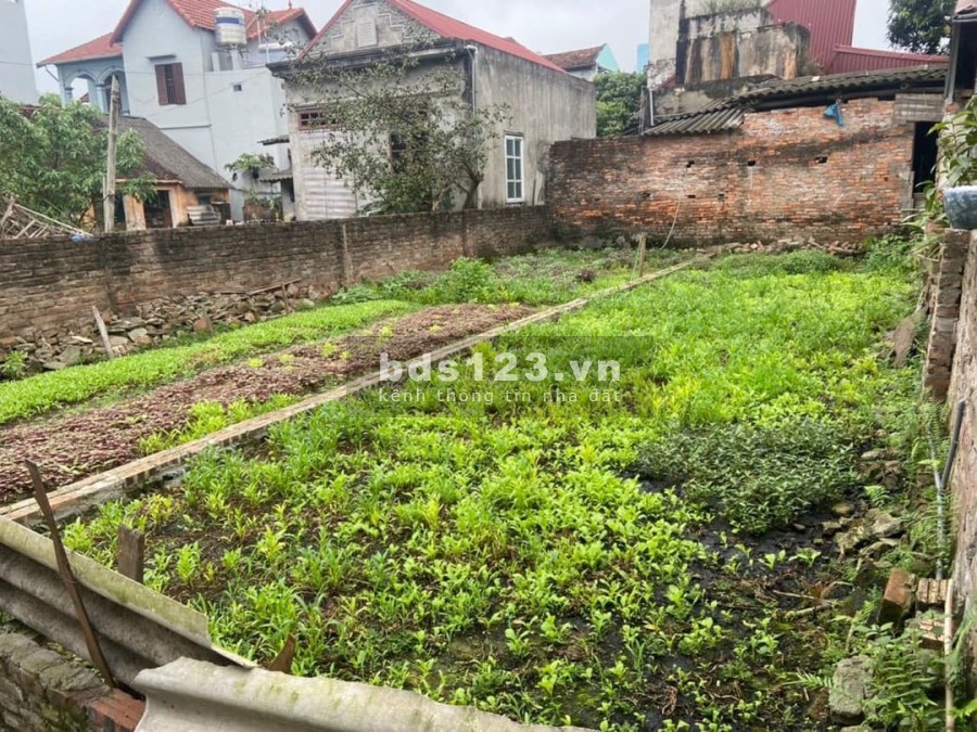 Chủ cần tiền bán gấp 60m2 Khoan Tế Đa Tốn đường ô tô 7 chỗ thông sổ đỏ chính chủ