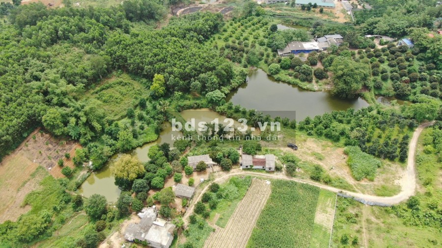 Chủ cần tiền bán nhanh siêu phẩm nghĩ dưỡng dt 7600m2 tại Kim Bôi Hoà Bình, giá tốt