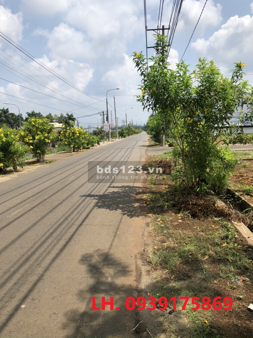 Cần bán gấp lô đất thổ cư thị trấn Trảng Bom đối diện khu công nghiệp cách Quốc Lộ 1K chỉ 500m