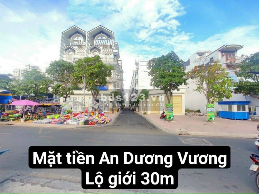 Nhà phố mới xây 100% khu dân cư vip Võ Văn Kiệt, DT 5x12, phong cách Châu Âu