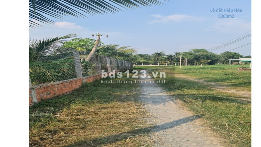 Chủ ngộp bán nhanh lô Hiệp Hòa , Đức Hòa Long An 5200m2 mặt tiền 54m2 chỉ 1,5tr/m2