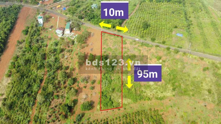 Bán nhanh lô đất 951m2 view hồ tại Đắk Nông, chỉ 1,5 tỷ, đã có sổ hồng riêng, sang tên ngay