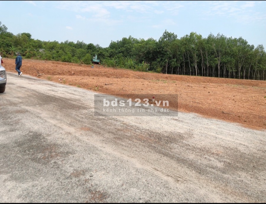 Nhượng gấp nền đất Tân Phước Đồng Phú ngay ĐT753 có 100m2 thổ cư sổ sẵn