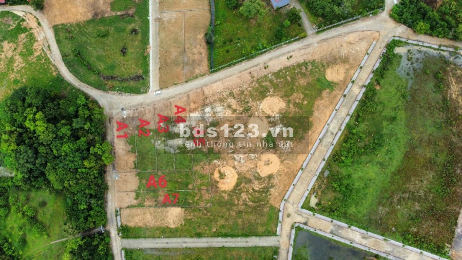 Bán đất diện tích 502m2 cây Thông trong Phú Quốc giá rẻ 3 tỷ, sổ hồng riêng, bàn giao ngay