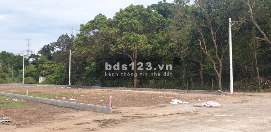 Bán đất diện tích 502m2 cây Thông trong Phú Quốc giá rẻ 3 tỷ, sổ hồng riêng, bàn giao ngay