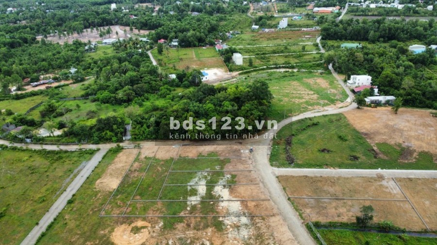 Bán đất diện tích 502m2 cây Thông trong Phú Quốc giá rẻ 3 tỷ, sổ hồng riêng, bàn giao ngay