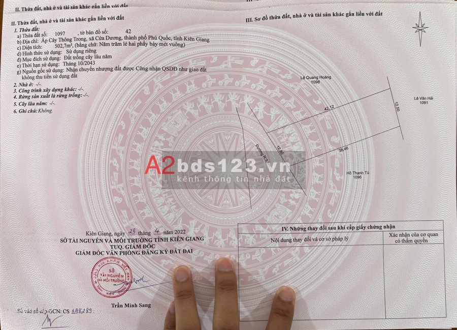 Bán đất diện tích 502m2 cây Thông trong Phú Quốc giá rẻ 3 tỷ, sổ hồng riêng, bàn giao ngay