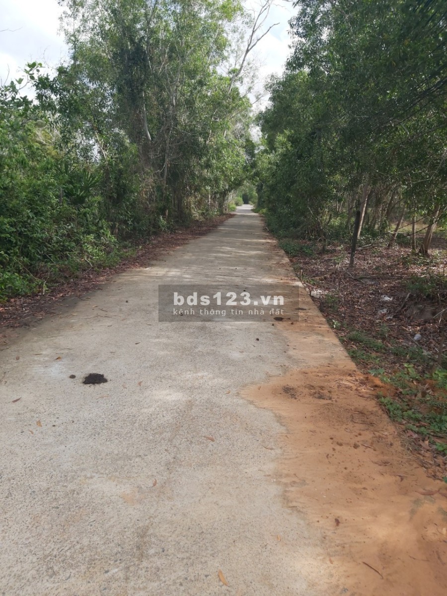 Bán 500m2 đất Bến Tràm, Phú Quốc, Tuân Trần 2 vào chỉ 2,3 tỷ, sổ hồng riêng, đường ô tô vào