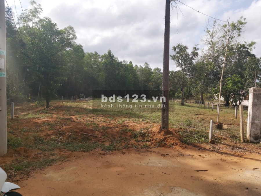 Bán 500m2 đất Bến Tràm, Phú Quốc, Tuân Trần 2 vào chỉ 2,3 tỷ, sổ hồng riêng, đường ô tô vào