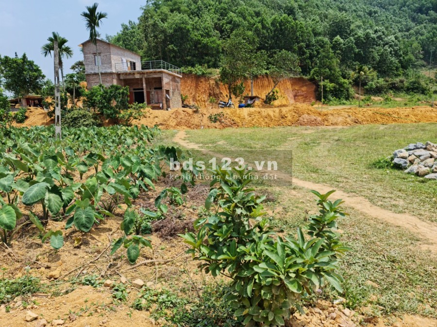 Bán siêu phẩm 1000m2 full thổ cư view núi giáp sông Bôi giá chỉ 1.x tỷ pháp lý chuẩn