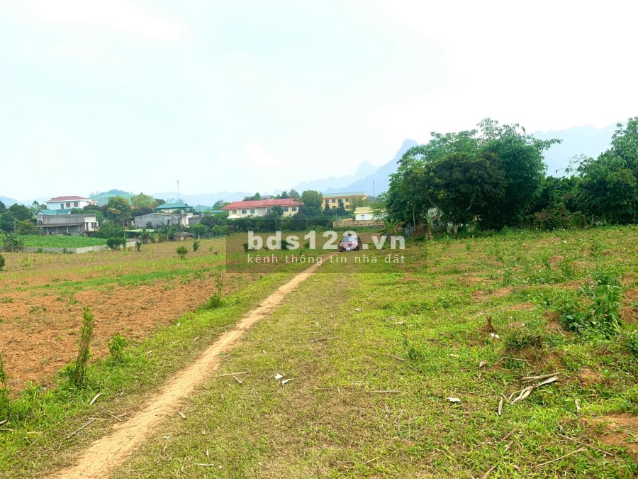 Bán 1038m đất Mỹ Hoà - Tân Lạc - Hoà Bình giá nhỉnh 900 triệu, pháp lý rõ ràng, bao sổ sách