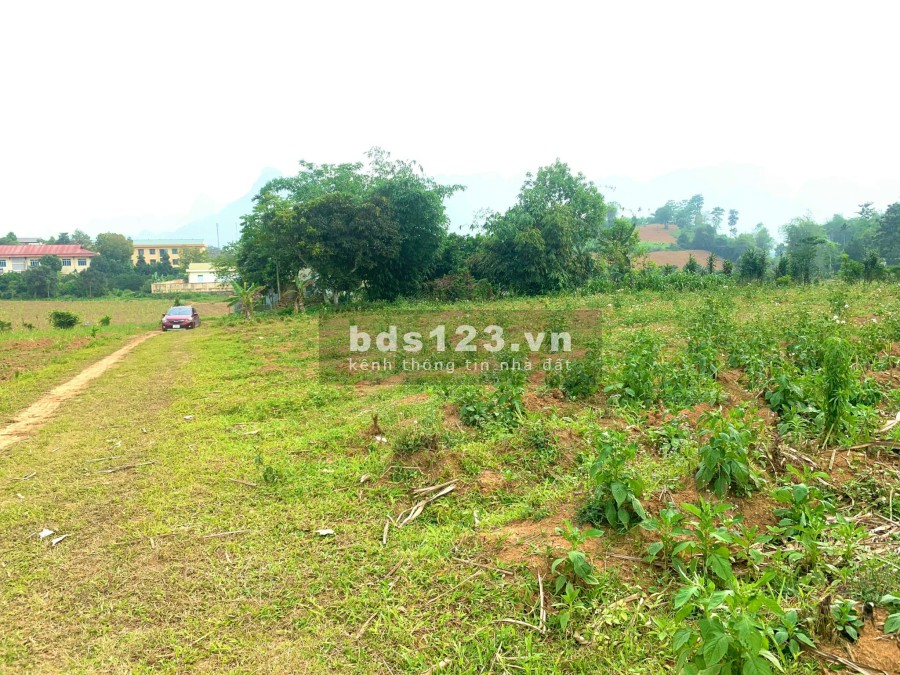 Bán 1038m đất Mỹ Hoà - Tân Lạc - Hoà Bình giá nhỉnh 900 triệu, pháp lý rõ ràng, bao sổ sách