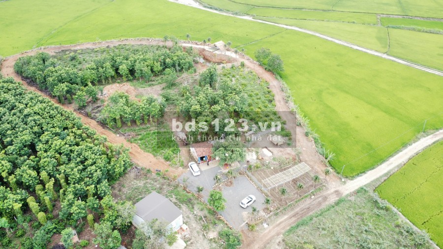 Bán đất view cánh đồng sông Krông Na, giá tốt đầu tư, thuận tiện làm nghỉ dưỡng