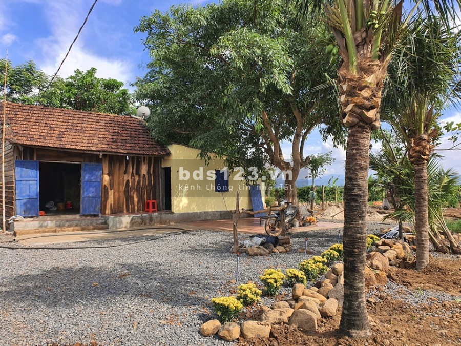 Bán đất view cánh đồng sông Krông Na, giá tốt đầu tư, thuận tiện làm nghỉ dưỡng