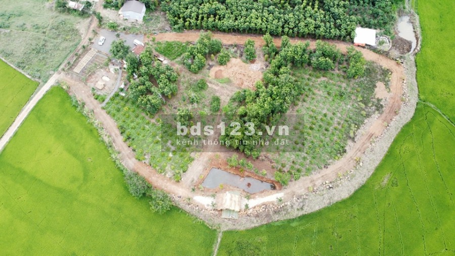 Bán đất view cánh đồng sông Krông Na, giá tốt đầu tư, thuận tiện làm nghỉ dưỡng