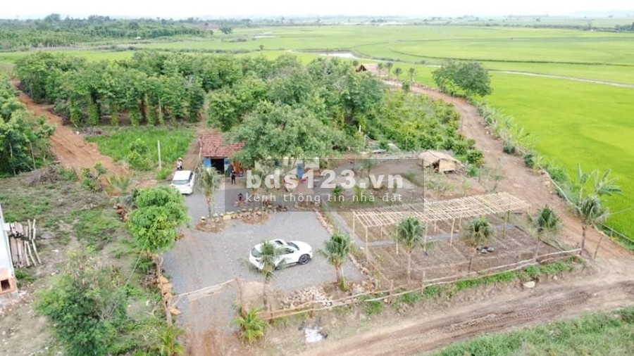 Bán đất view cánh đồng sông Krông Na, giá tốt đầu tư, thuận tiện làm nghỉ dưỡng
