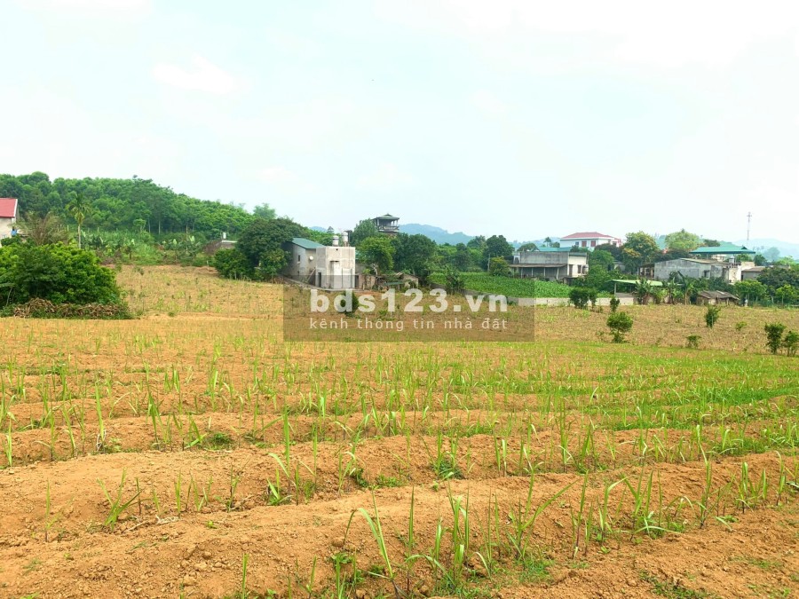 Bán 1038m đất Mỹ Hoà - Tân Lạc - Hoà Bình giá nhỉnh 900 triệu, pháp lý rõ ràng, bao sổ sách