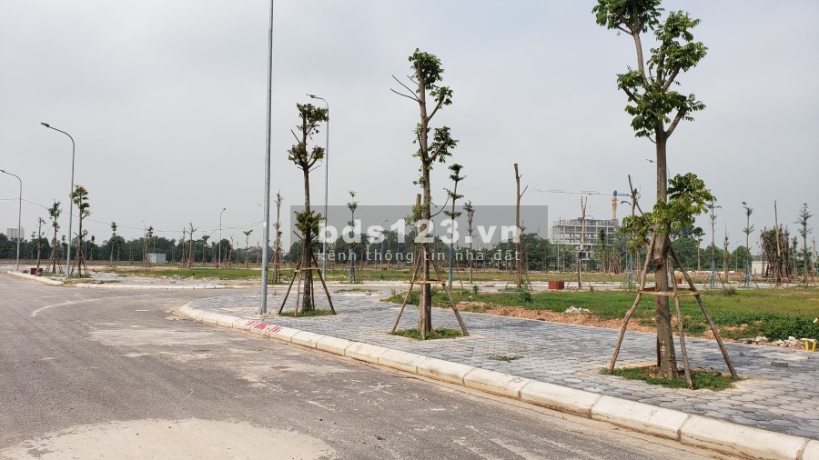 Cần bán lô đất bên TT Bích Động Việt Yên Bắc Giang, diện tích 90m2 giá 1 tỉ 9